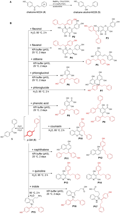 4.png 4.png
